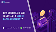 How Much Does it Cost to Develop a Crypto Payment Gateway Platform?