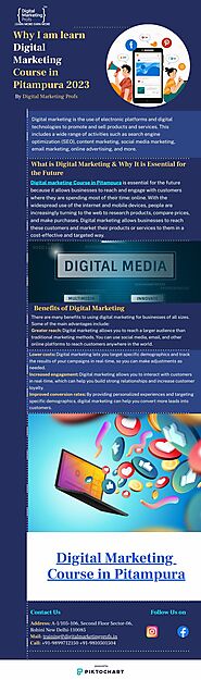 Why I am learn Digital Marketing Course in Pitampura 2023 | piktochart