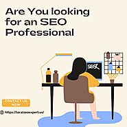 Are You looking for an SEO Professional