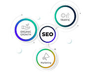 SEO Company in Noida – Elevate Your Online Presence with Expert SEO Services
