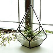 Geometric Glass Planter