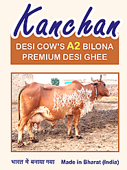 A2 Bilona Desi Cows Desi Ghee | A2 Kanchan Desi Ghee