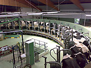 Benefits of robotic dairy systems