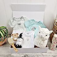 Baby Gift Hampers & Nappy Cakes | Perfect Little Bundles