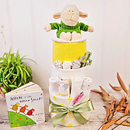 Consider the Factors When Choosing Nappy Cakes for a Gift