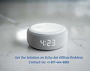 Echo Offline Issues? Get the Solution Here