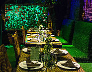 Jungle Theme Restaurant in Gurgaon