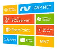 ASP.NET Web Development Company