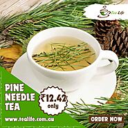 Pine Needle Tea - Tea Life