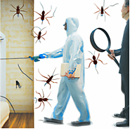 Pest Control: How to get the right exterminator for your needs - Pest Control Near Me