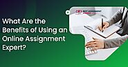 What Are the Benefits of Using an Online Assignment Expert?