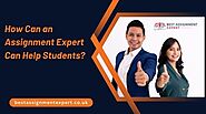 How can an assignment expert can help students?