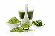 Wheatgrass Powder, Packaging Size: 8 Kg X 2 = 16 Kg Per Carton at Rs 1350/kg in Pune