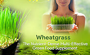 Buy Herbal Hills Wheatgrass Powder (Wheatgrass_1 Kg) Online at Low Prices in India - Amazon.in