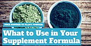 Juice Powder Vs. Plant Powder: What to Use in Your Supplement Formula?