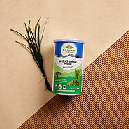 Wheatgrass Powder 100g Can – Organic India Pvt. Ltd.