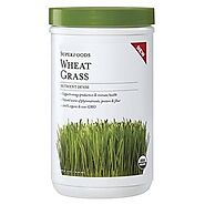 Wheat Grass Powder - Wheatgrass Powder Latest Price, Manufacturers & Suppliers