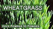 Wheatgrass Powder Vs Wheatgrass Juice Powder Explained