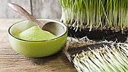 Optimum Organic Wheatgrass Powder Dosage For Best Results