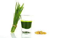 Wheatgrass benefits and nutrition facts - Nutrition: Health Benefits and Facts - Times Foodie
