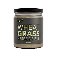 North Hound Life | Wheat Grass - Superfood Greens for Dogs