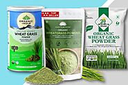 Top 10 Best Wheatgrass Powder In India 2023 - Drug Research