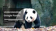 Understanding Google Panda