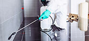 Cleaning your Home of pests with Exterminator Services in the Upper West Side