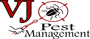 Goodbye to Cockroach Infestations with VJ Pest Management's Effective Treatment Solution