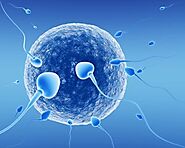 Ivf-in-vitro-fertilization I Hormone IVF | Hormone IVF Fertility Center