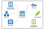 Install Security Certificates And Use HTTPS Protocol In Your Website