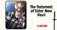 2. The Testament of Sister New Devil