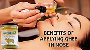 Ghee In Nose - 19 Incredible Advantages Of Using Ghee