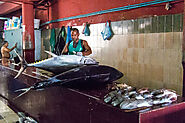 Male Fish Market