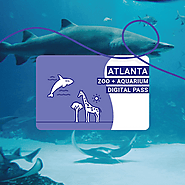 Atlanta Zoo + Aquarium Pass