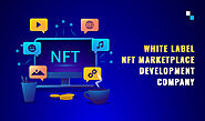 White Label NFT Marketplace Development Company: Deploy Pre-built, Secure Solutions