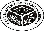 Pashudhan Uttar Pradesh Job Recruitment 2015 For Apply 7200 AHW Posts - Govt jobs Exam Results 2015 Admit Cards And N...