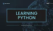Get Ahead With Learning Python: All The Benefits Explained - Rise Institute