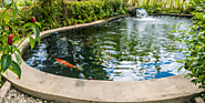 What is a pond liner and what are some questions related to it? - Business to Mark