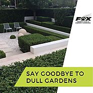 Say Goodbye To Dull Gardens