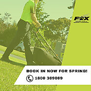 Welcome Spring with Fox Mowing & Gardening