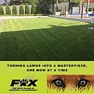 Elevate Your Garden with Fox Mowing & Gardening!