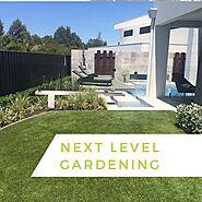 Transform Your Garden into a Stunning Oasis