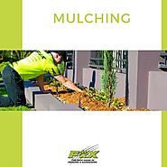 Elevate Your Garden with Expert Care and Mulching