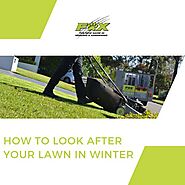 Winter Lawn Care Guide