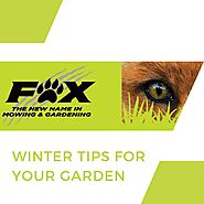 Tips for Thriving Plants in the Cold Season