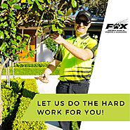 Leave Your Garden in Expert Hands with Fox Mowing NSW