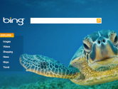 Bing (Imagens)