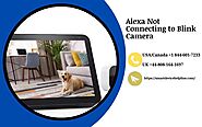 Alexa Not Connecting to Blink Camera