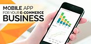 How A Mobile App Can Elevate Your E-commerce Website